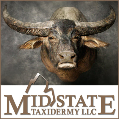 www.midstatetaxidermy.com Website - Designed and formatted by Pamela Pohl. Completed Nov. 2017. Using Wix.com Website Builder – as well as ongoing support.